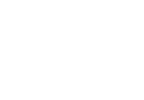 Logo Baldi_DEFINITIVO_bianco